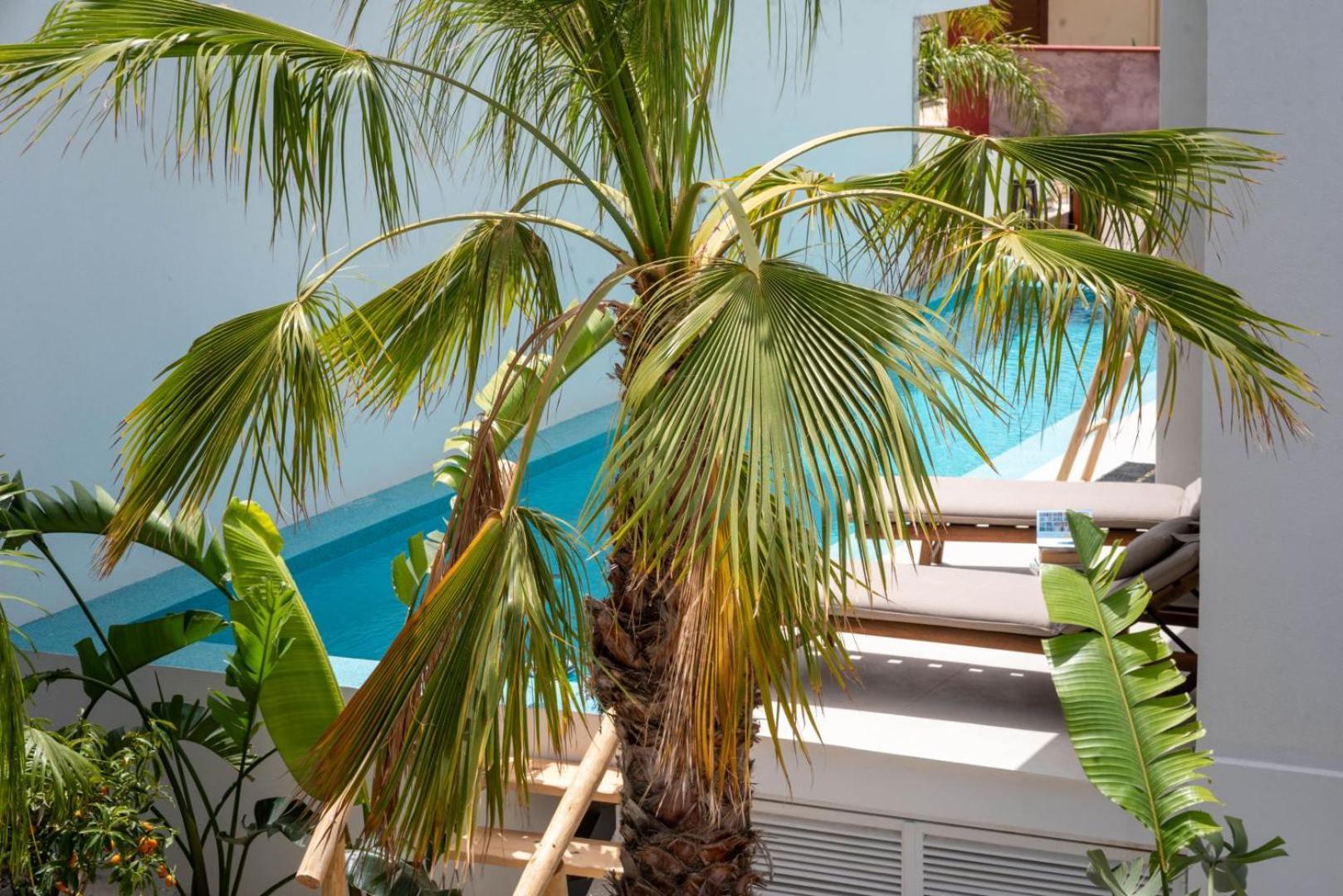 D Palm Premium Living - Kalathas, Chania Khania Eksteriør bilde